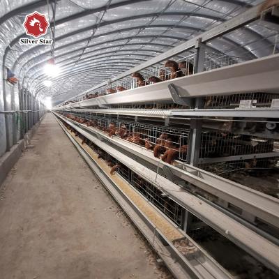 Chine La cage de poulet de couche de ferme avicole a galvanisé de longues cages de batterie de couche à vendre
