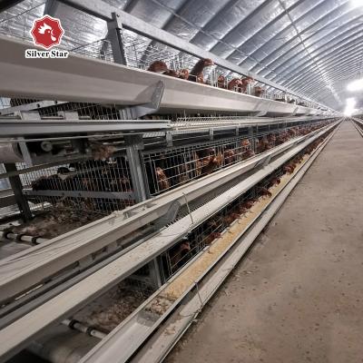 China O projeto o mais novo do tipo gaiola de H das aves domésticas da galinha da camada à venda