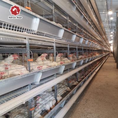China H Type Poultry Equipment Automatic Battery Cage System 9 Layers / Cell for sale