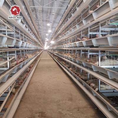 China Tipo de acero inoxidable 54 pájaros/sistema de la jaula H de la granja avícola de la capa en venta