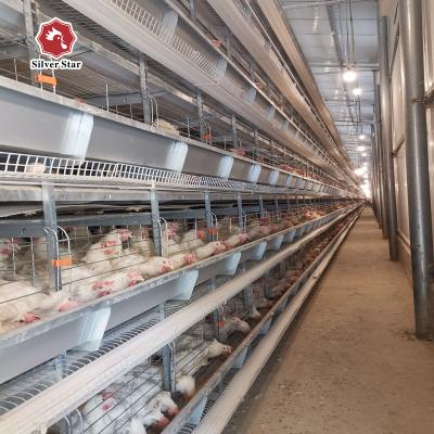 China Schichten des Geflügel-Hühnerbauernhof-verwendete Schicht-Hühnerkäfig-9/Zelle zu verkaufen