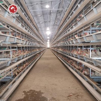 Chine Conception galvanisée électrique de cage de poulet de batterie de 5 oiseaux des rangées 90 plus nouvelle à vendre