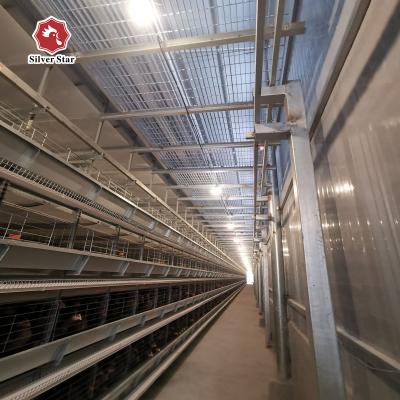 China 108 chickens High Brood Survival Rate Broiler Cage System For Little Chick for sale