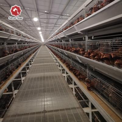Chine Cage de poulet à rôtir d'un jour à 45 jours pour la ferme de poulet à vendre