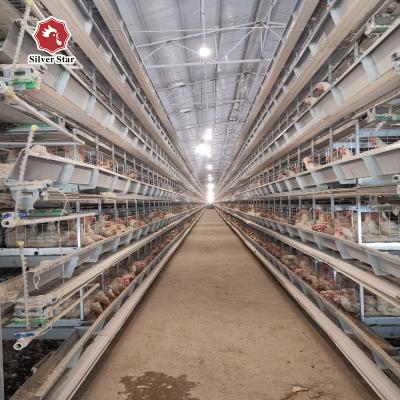 Chine Type fil soudé Mesh Chicken Poultry Cage de H à vendre