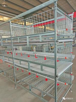 China Poulet multi galvanisé de cage de grilleur de volaille soulevant l'élevage automatique for sale