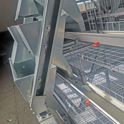 China Sistema automático completo de la limpieza del abono de Chick Cage Hot Galvanized With del bebé de la parrilla en venta