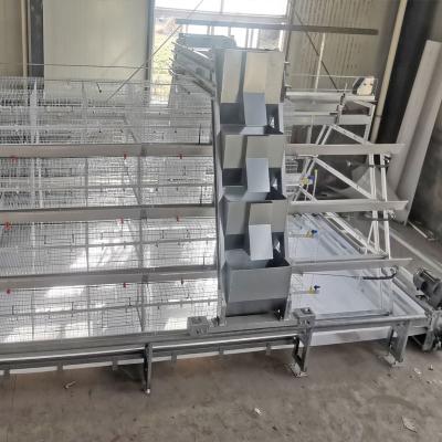 China Galvanized Steel Broiler Baby Chick Cage Material Feeding for sale