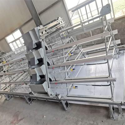 China Broiler Meat Galvanized Chicken Cage 13 Chicks/Cell Automatic Feeding for sale