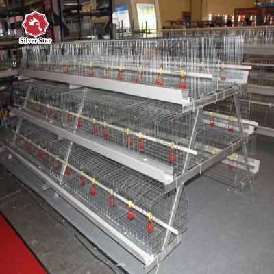 China 13 kuikens/Cel 61*50cm het Bedrukte Hen Cage Galvanized Steel Manure-Schoonmaken Te koop