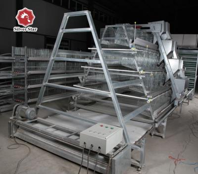 China Tipo galvanizado automático ISO9001 de Chick Brooder Cage A da carne à venda