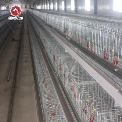 Китай Горячая гальванизированная клетка цыпленока младенца ячеистой сети Q235 с системой вентиляции продается