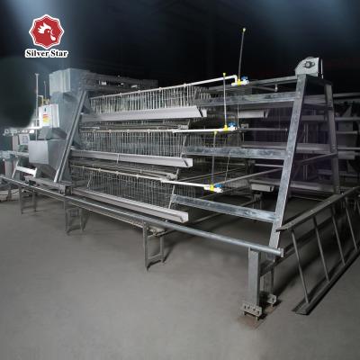 China Automatische Drinkende Baby Chick Poultry Battery Cage Galvanized Te koop