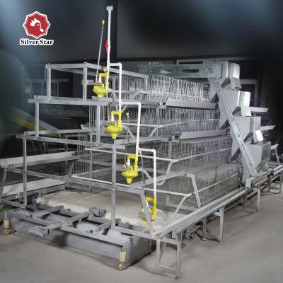 China Manure Cleaning Broody Chicken Cage Eggs Collecting Controllable for sale