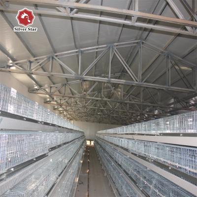 China Polluelos automáticos/célula del sistema 13 de la jaula de batería de la granja del pollo tomatero en venta