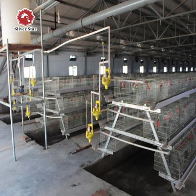 China Galvanized Baby Chick Wire Bird Breeding Cages Automatic Farming for sale