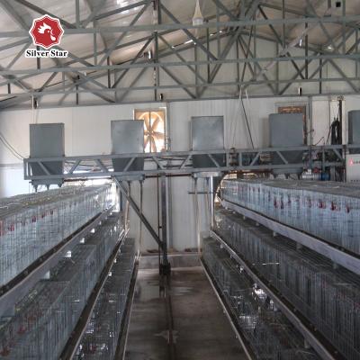 China Smooth Mesh Baby Chick Cage Wire Mesh A Frame Chicken Cage for sale