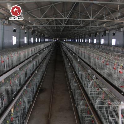 Chine Système complètement automatique de Chick Modern Hen Cage With de bébé argenté à vendre