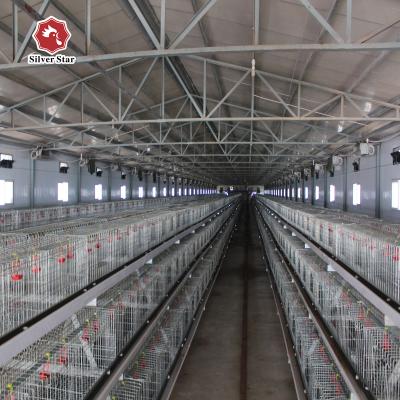 Китай Птица цыпленока младенца бройлера поднимая оборудование гальванизировала стальную анти- корозию продается