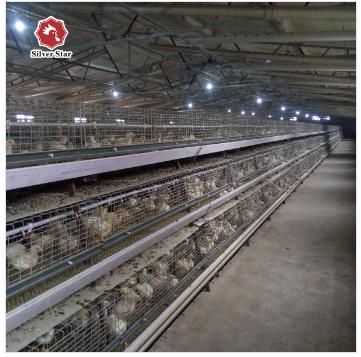 China A Type Coop Layer Chicken Cage 430mm Long For Poultry Farm for sale