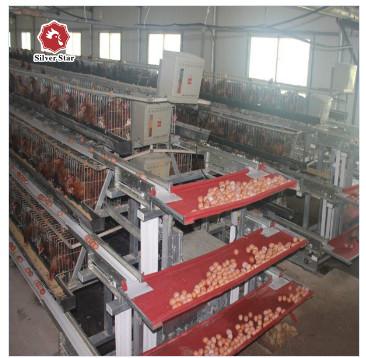 Cina Gabbia in batteria d'acciaio del pollo del buon di elasticità di strato del pollo ponte della gabbia Q235 in vendita