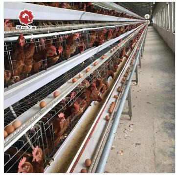China 10000 Birds Layer Poultry Equipment A Frame Layer Cages SGS Approved for sale