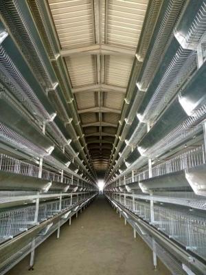 6階層Q235 バッテリー層 鶏の檻 鶏の繁殖籠