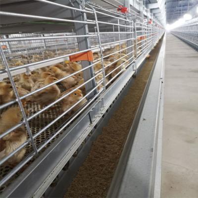 China Battery Broiler Chicken Cage For Chicken Farm for sale