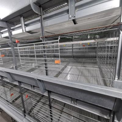 China Baby Chicks Broiler Chicken Cage For Chicken Farm for sale