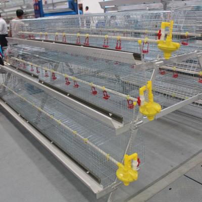 China HDG Steel 3 Tires Battery Cage For Broilers Poultry Farm à venda