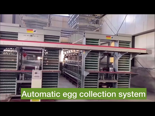 Henan Silver Star Poultry Equipment Co.,Ltd Introduciton Video