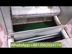 Poultry Manure Removal System For Layer And Broiler Chicken Cage