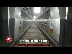Baby Chick  H Type Broiler Chicken Cage 85*62.5*50 Cm Broiler