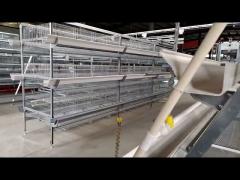 Poultry Farming Chicken Broiler Cage Automatic H Type Layer