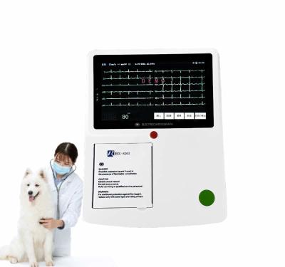 China Veterinary 12 Lead Ekg Electrocardiogram Ecg Machine 3 Channel Printer PC Software for sale