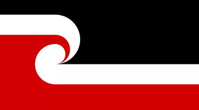 China 48h Fast Delivery 100D Polyester Maori Flag Custom 3x5ft Flags à venda