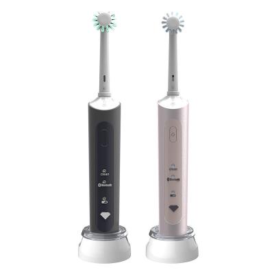 China 3d escova de dentes elétrica adulta de gerencio inteligente, rotação de alta velocidade da cabeça da escova à venda