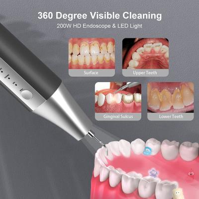 China Herramientas de limpieza dentales de la visualización del diente de Oraly ultrasónicas en venta