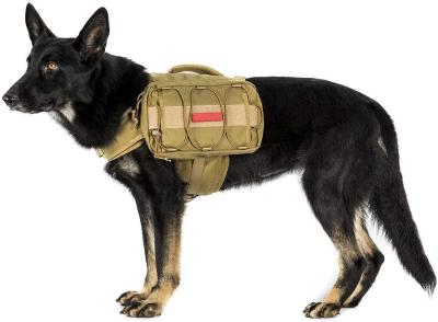 China De promotie versie-M Rugzak In te ademen Mesh Lining Dog Travel Backpack, Openluchthondproducten van de Honddrager Te koop