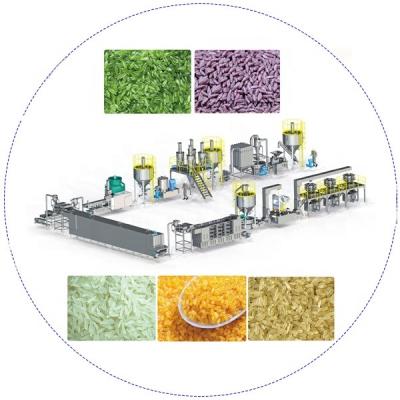 Chine Extrudeuse enrichie artificielle de riz de boudineuse à vis de machine plus sèche d'acier inoxydable de petit prix double à vendre