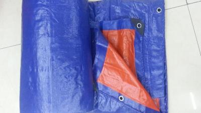 China Anti - UV HDPE Waterproof Canvas Tarpaulin Binding Resistant For Agriculture for sale