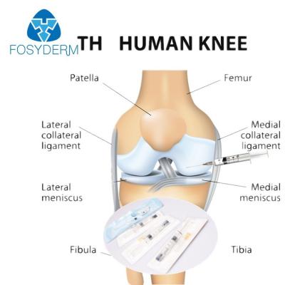 China o gel ligado profundamente não transversal de 3ml HA para a articulação do joelho lubrifica a injeção à venda