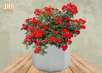 China Frosted Clay Plant Pots Homewares Decorative Items Geometric Flower Pots Garden Pots White Color for sale
