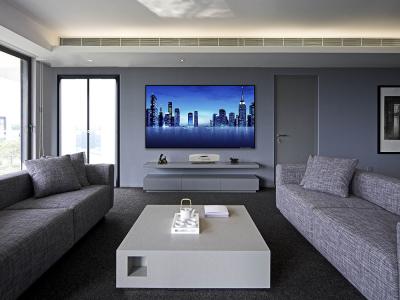 China Wall Mounted Fixed Frame Screen , 100 Inch Fixed Projector Screen Wide Viewing Angle for sale