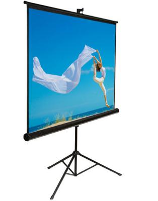China Projection screen tripod stand , 70 x 70 projection screen for Education / Business for sale