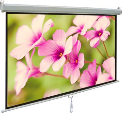 China Light weight  Manual wall mount projection screens 60 x 60 With Auto-locking System for sale