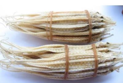 China Traditional chinese medicine/Hai Long (Pipe fish)/Syngnathus for sale