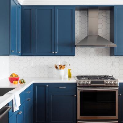 China O armário azul U da unidade da cozinha da casa do preço razoável dá forma aos armários de cozinha modernos EUA da laca à venda