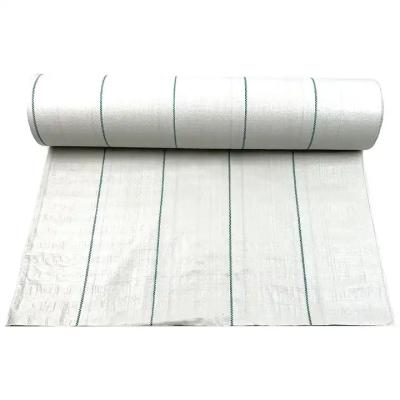 China Rolo de tecido de geotextil de PP tecido resistente a álcalis para estabilização de estrada e estrada à venda