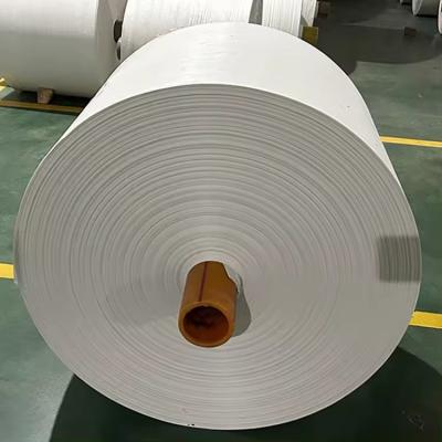 China Rolo de tecido tecido de PP reciclado UV estabilizado para saco personalizado à venda